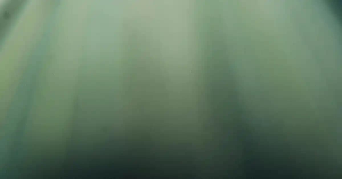 Tommy Hilfiger Sarı Sweatshirt: Modern ve Enerjik Tarzın Şık Seçeneği