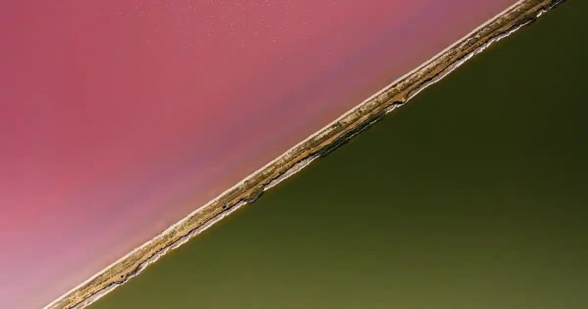 Tommy Hilfiger Turuncu Mont Koleksiyonu: Moda ve Renk Trendlerini Yansıtan Tasarımlar