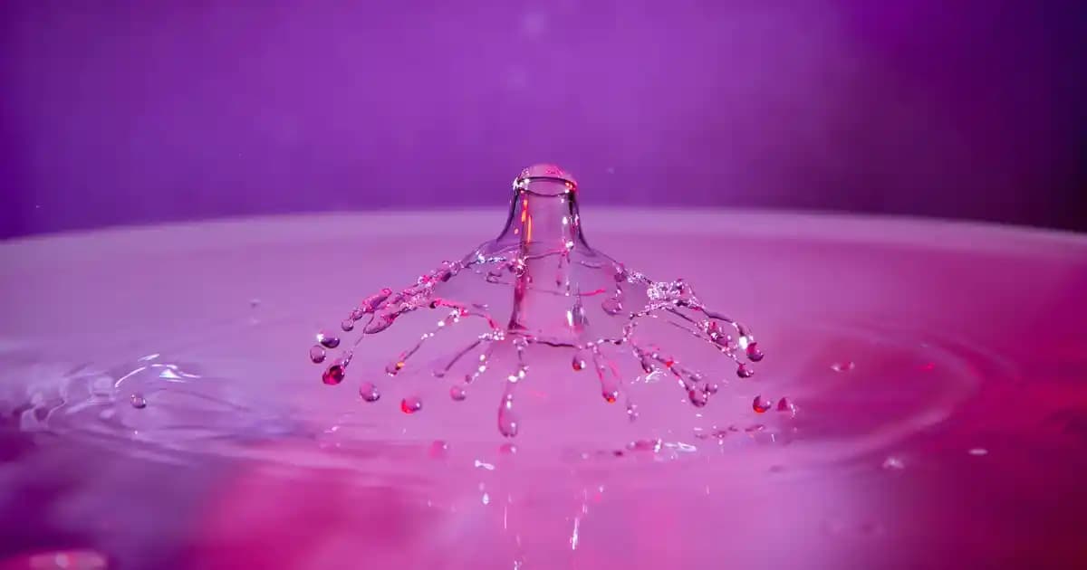 Tozlu Bayan Montları: Moda ve Fonksiyonelliği Bir Arada Sunan Kış Koleksiyonu