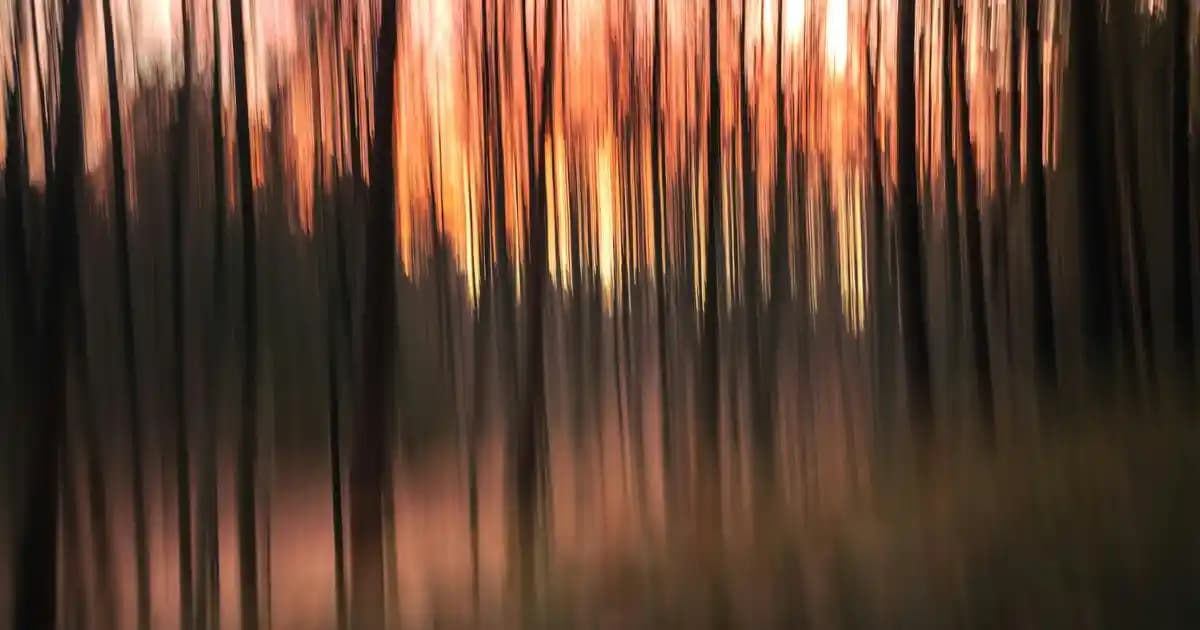 Türk Malı Kıyafet Markaları ve Türkiye'nin Moda Sektöründeki Gücü