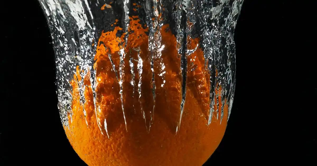 Türkiye Parfüm Distribütörleri ve Moda Dünyasında Pazar Dinamikleri Analizi