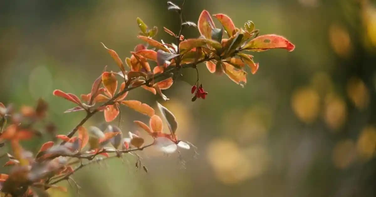 Under Armour Project Rock BSR 3 Spor ve Moda Uyumu ile Yenilikçi Tasarım