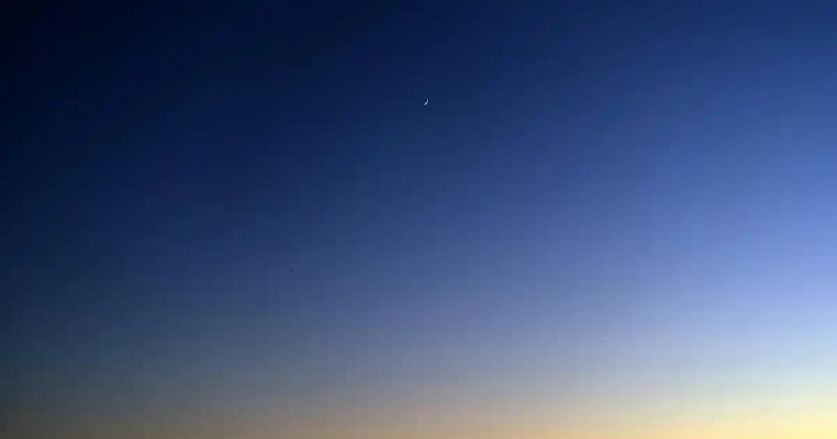 Uzun Kollu Gömlek Modelleri ve Güncel Trendler: Şıklık ve Fonksiyonellik Rehberi