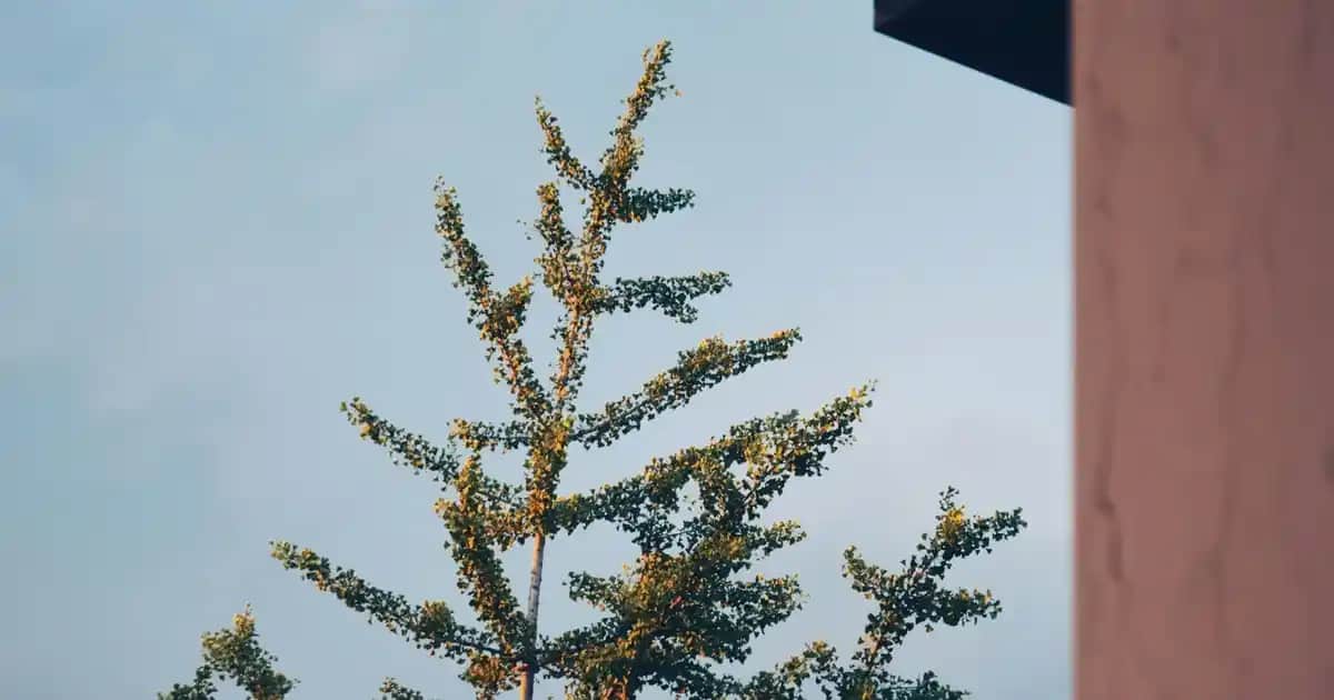 V Yaka Kazaklar Moda Dünyasında Şıklık ve Konforun Birleştiği Çok Yönlü Parçalar