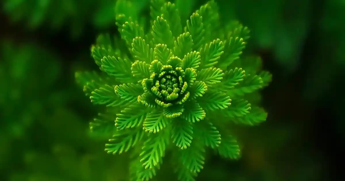 Valiz Dünyası: Modanın En Şık ve Fonksiyonel Parçası Hakkında Kapsamlı Bilgi