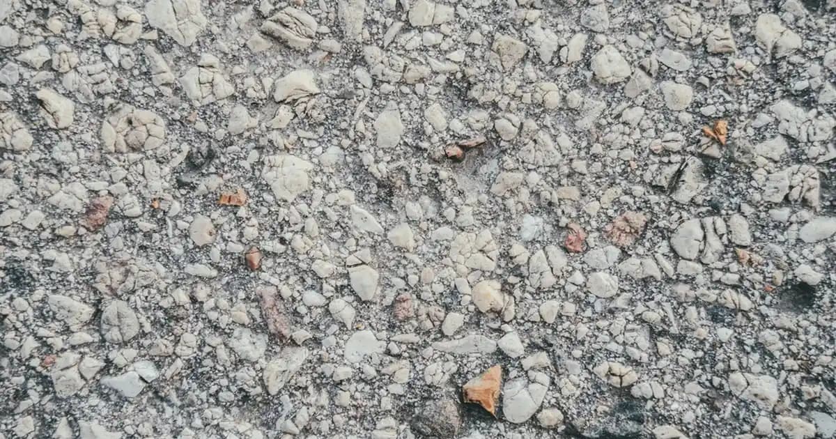 Yeni Model Montlar: Moda ve Fonksiyonelliğin Birlikte Sunulduğu Güncel Koleksiyonlar