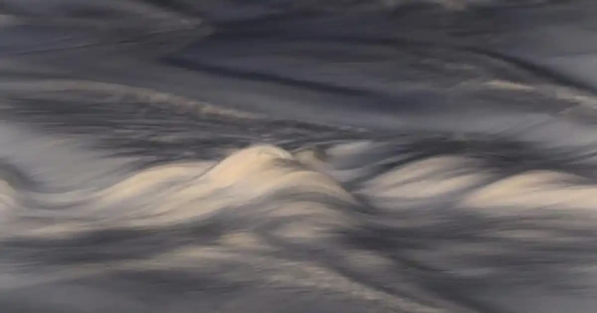 Yeşil Takımların Moda Dünyasındaki Yeri ve Anlamı: Stil ve Sürdürülebilirlik Perspektifi