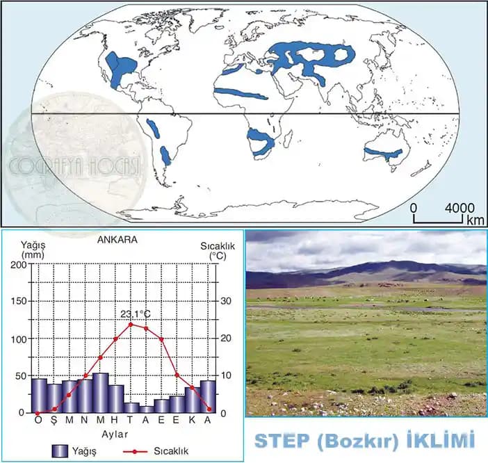Kış Aylarında Pelerin Kullanımı: Avantajlar, Dezavantajlar ve İklim Etkileri