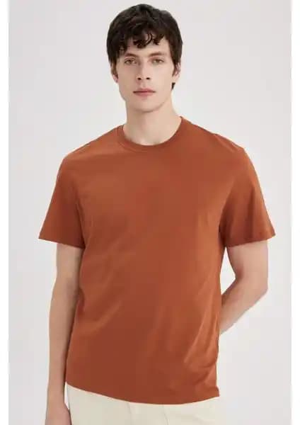 DeFacto %100 Pamuk Regular Fit Bisiklet Yaka Tişörtleri Karşılaştırması ve İnceleme