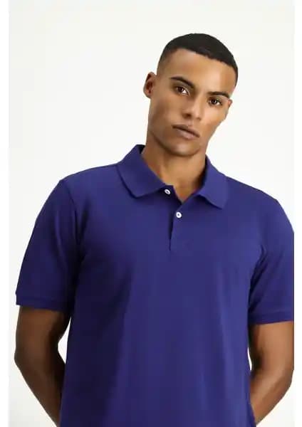Kiğılı Polo Yaka Regular Fit Nakışlı Pamuk Tişört Erkekler İçin Şık ve Konforlu Giyim Parçası