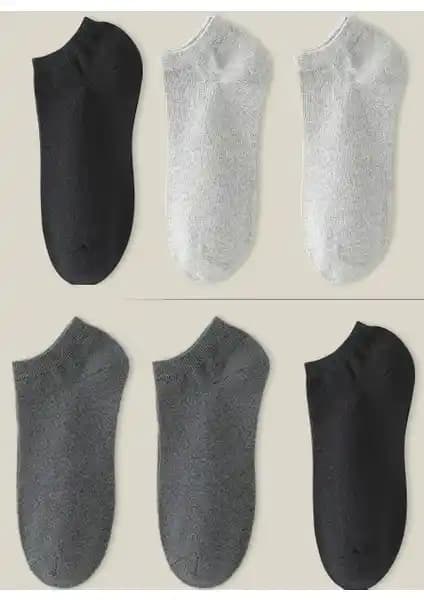 Ozzy Socks 3'lü Unisex Dikişsiz Patik: Rahat ve Şık Günlük Kullanım Çorapları