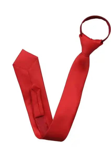 Pratik Kullanıma Uygun Fermuarlı Kuşgözü Desenli Erkek Kravatı