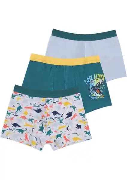 Koza ve Tutku Erkek Çocuk Boxer Modellerinin Karşılaştırması ve Özellikleri