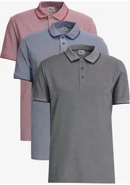 Altınyıl<dı>z Classics Slim Fit Dar Kesim 3'lü Polo Yaka Tişörtleri Yaz Şıklığı ve Konforu Sunar