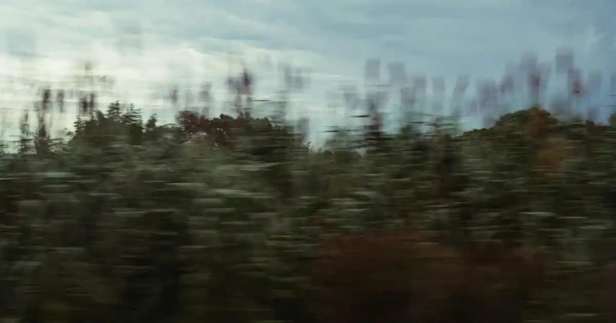 Kasım 2025 Raw Denim Alım, Satım ve Takas Rehberi: Güvenli İşlemler ve Ürün Çeşitliliği