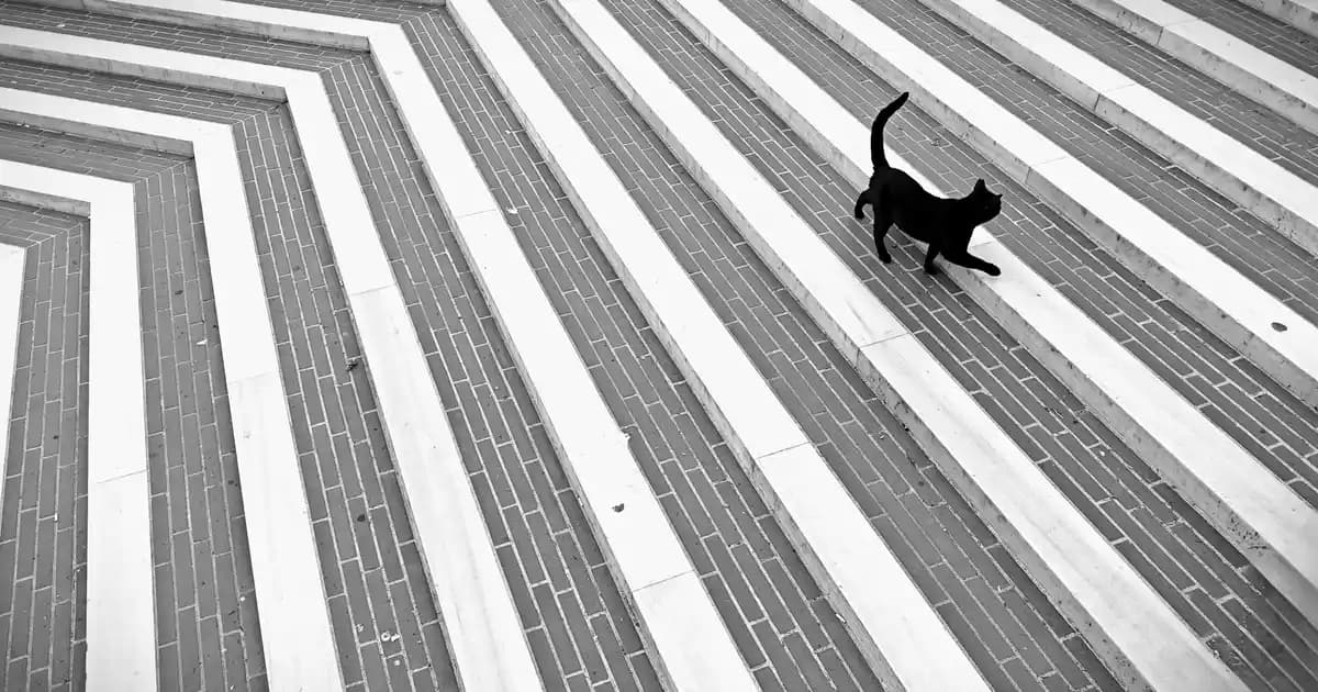 Popüler Mayo Markalarında Kesim, Destek ve Tasarım Özelliklerinin İncelenmesi