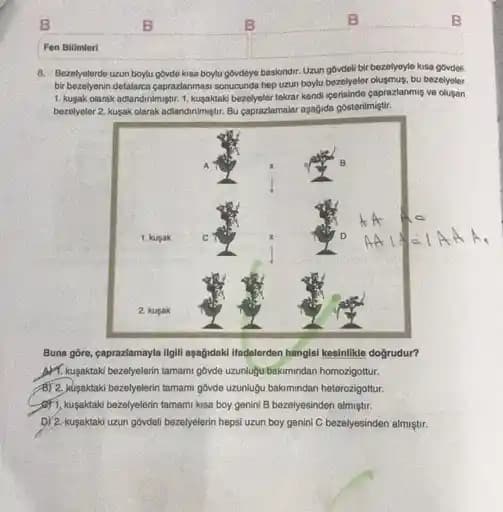 Uzun Gövde ve Kısa Bacaklara Sahip Erkekler İçin Vücut Oranlarını Dengeleyen Stil Önerileri