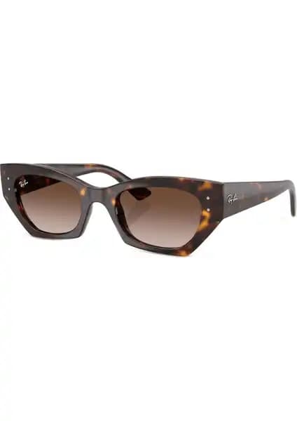Ray-Ban RB2186 ve RB4430 Güneş Gözlükleri Karşılaştırması: Tasarım ve Performans Analizi 2